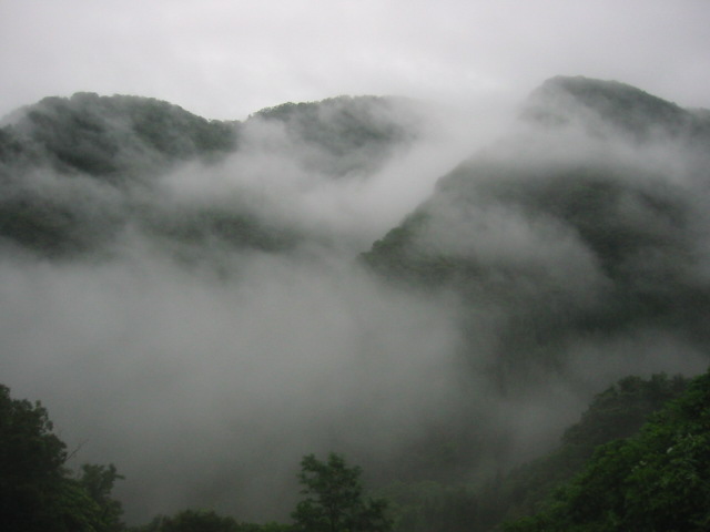 d0094868_7353723.jpg