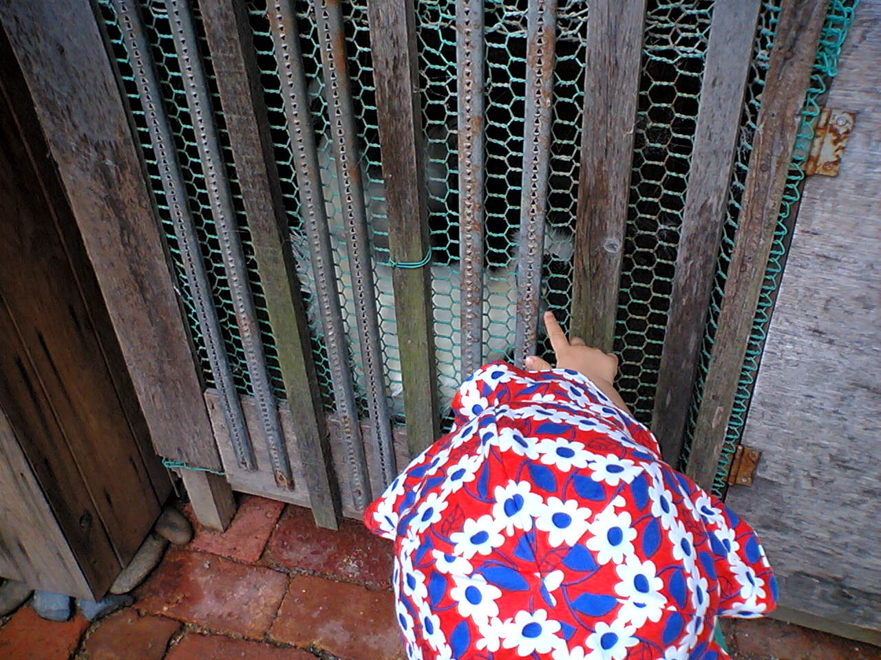 f0142668_5382429.jpg