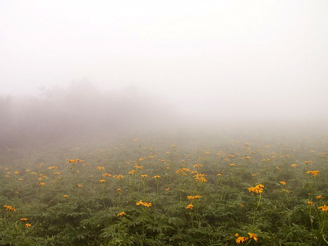 f0104569_022529.jpg
