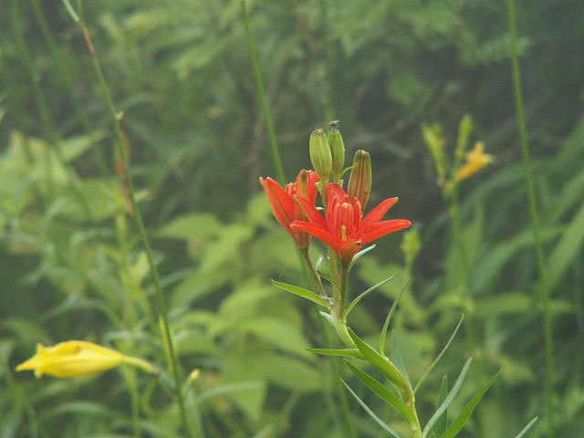 f0104569_023340.jpg