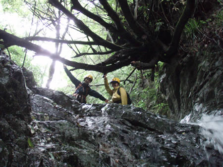 d0079579_1118163.jpg