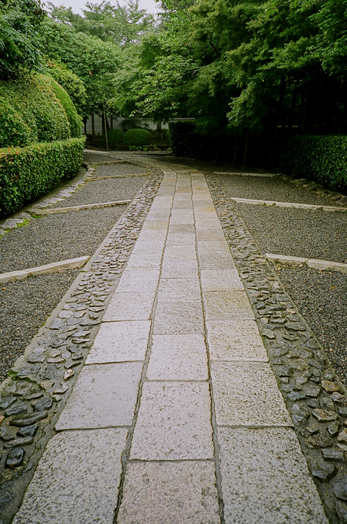 e0051888_2048146.jpg