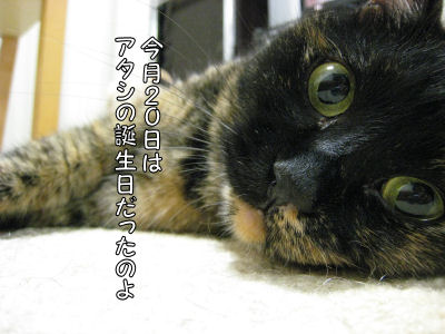 a0045990_2303483.jpg