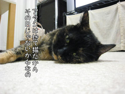 a0045990_2311145.jpg