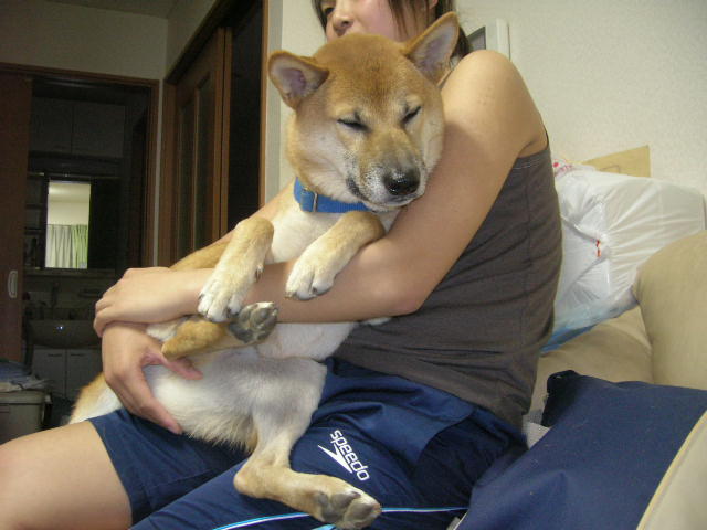 c0123890_22251683.jpg