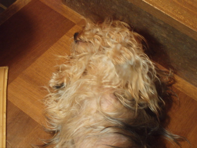 f0130894_231335.jpg