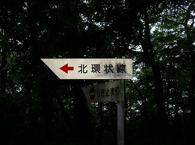 b0118097_2462255.jpg