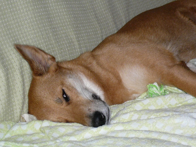 a0053598_19595613.jpg