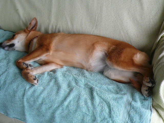 a0053598_20103197.jpg