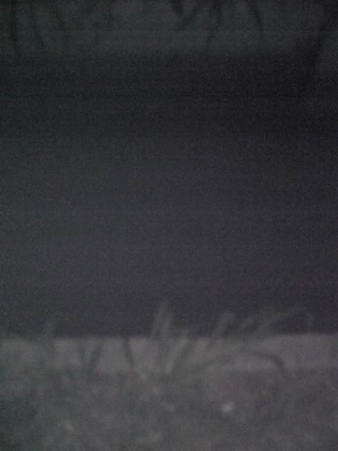 f0034007_23295133.jpg