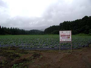 b0076710_1193129.jpg