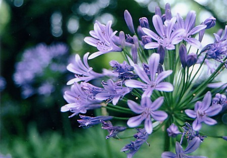 f0121111_21291098.jpg