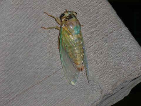 d0007913_23335599.jpg