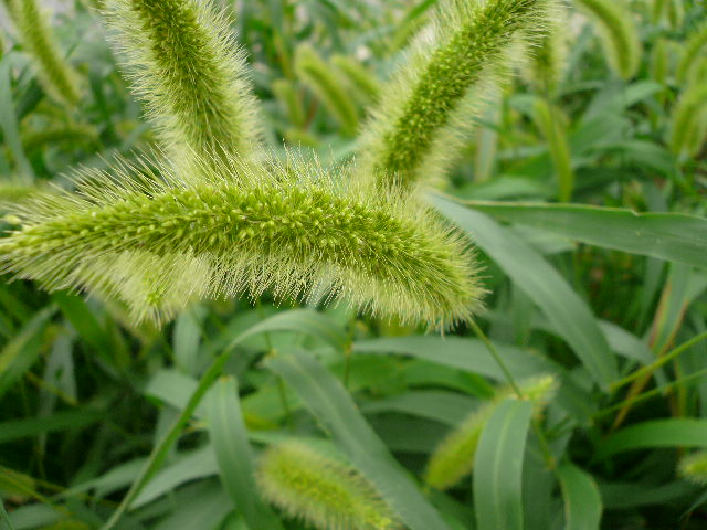 e0026017_1252142.jpg