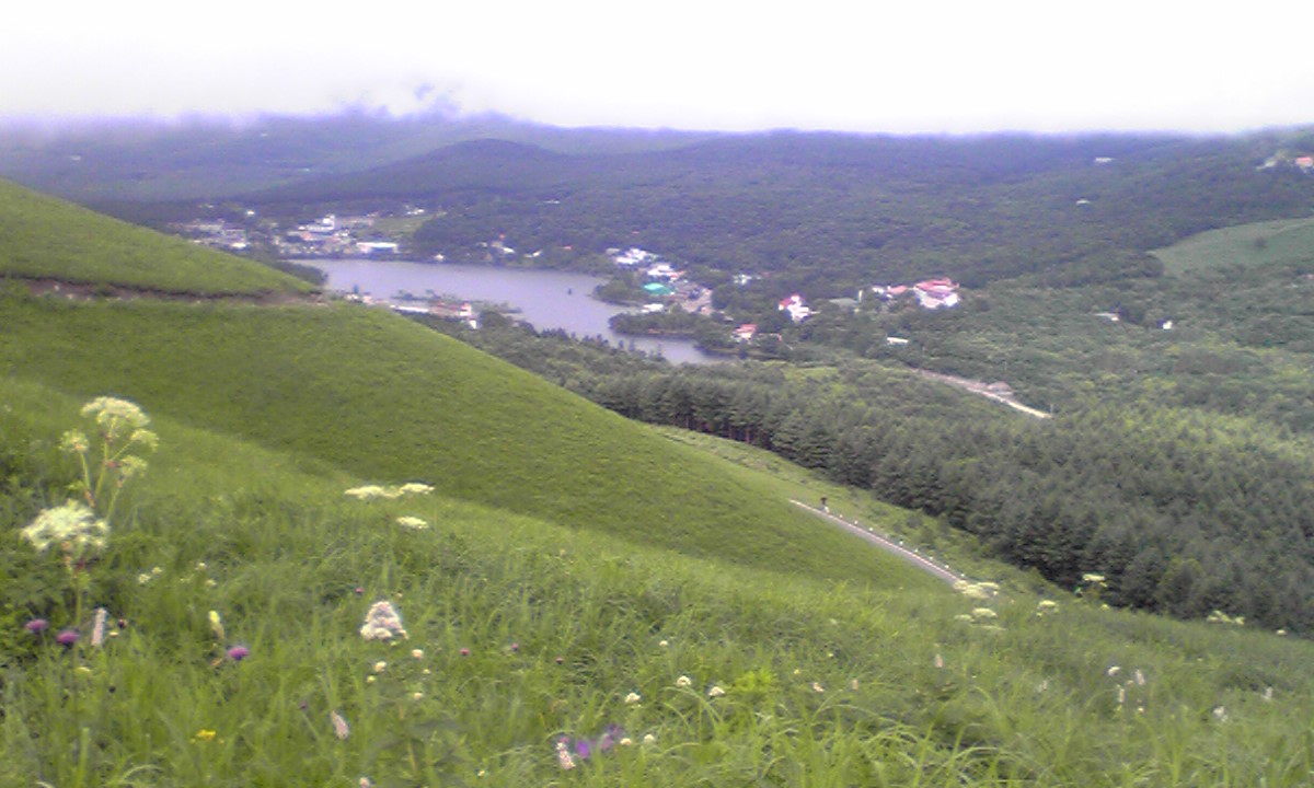 d0076819_22342013.jpg