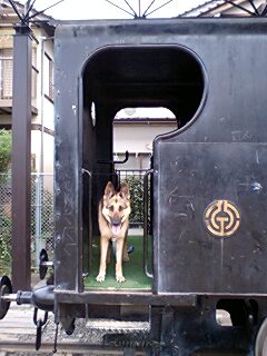 c0090220_11272157.jpg