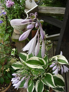 f0054421_2124217.jpg