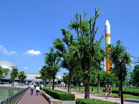 f0147025_16543649.jpg