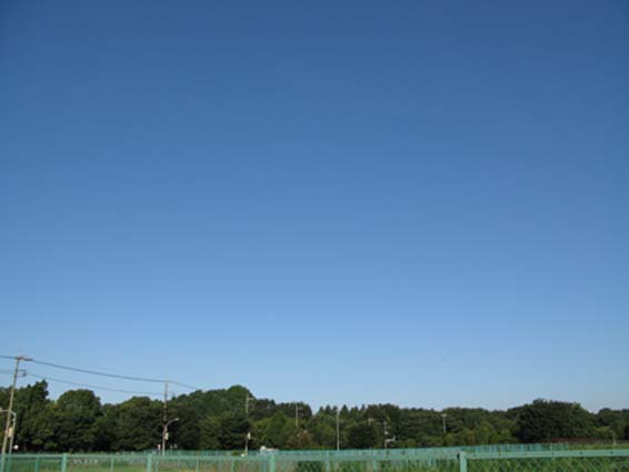 d0109728_14592988.jpg