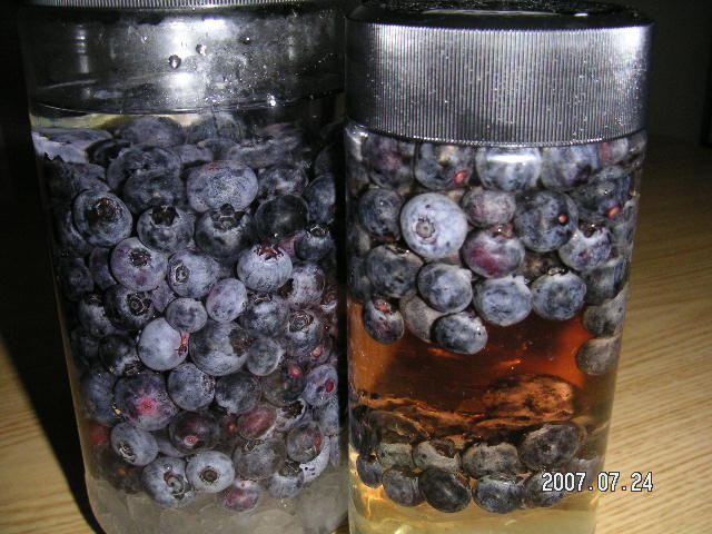 a0020929_20225385.jpg