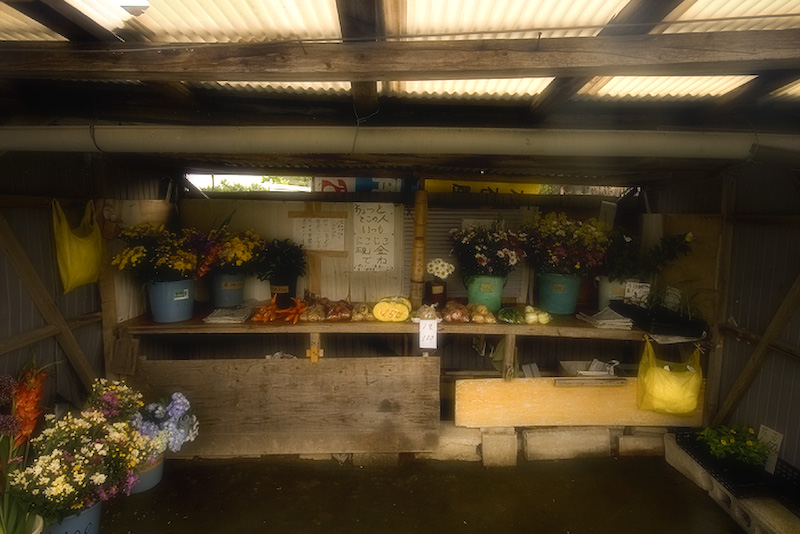 d0004832_8582277.jpg