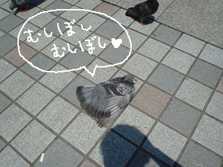 a0062133_11184045.jpg