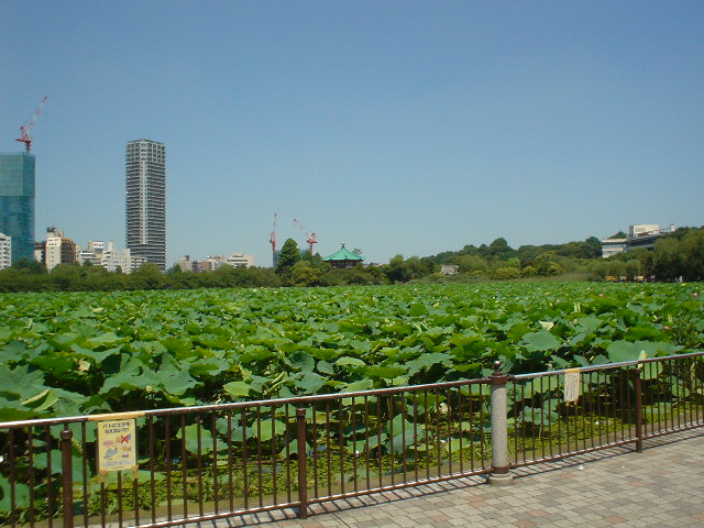 a0062133_11192731.jpg