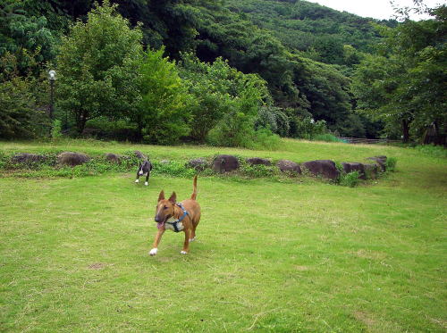 f0094843_0225957.jpg