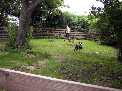 f0094843_0494350.jpg
