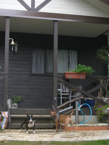 f0094843_0503351.jpg