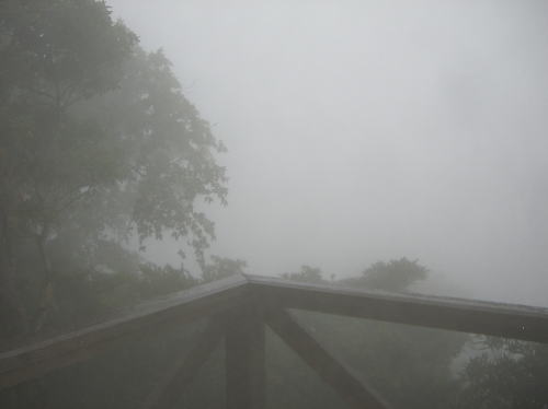 f0094843_116110.jpg