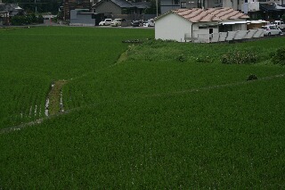 b0110348_21141836.jpg
