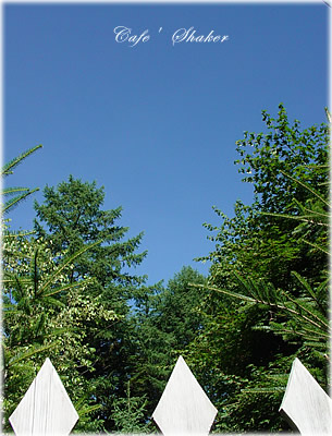 f0020948_1485184.jpg