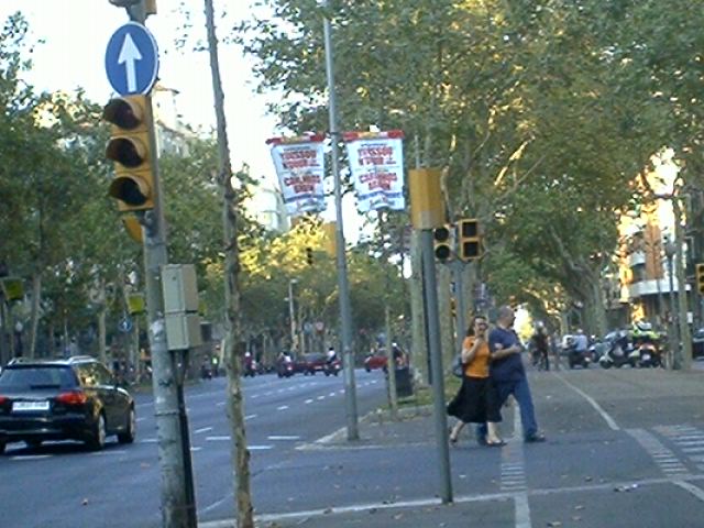 d0061952_5155653.jpg