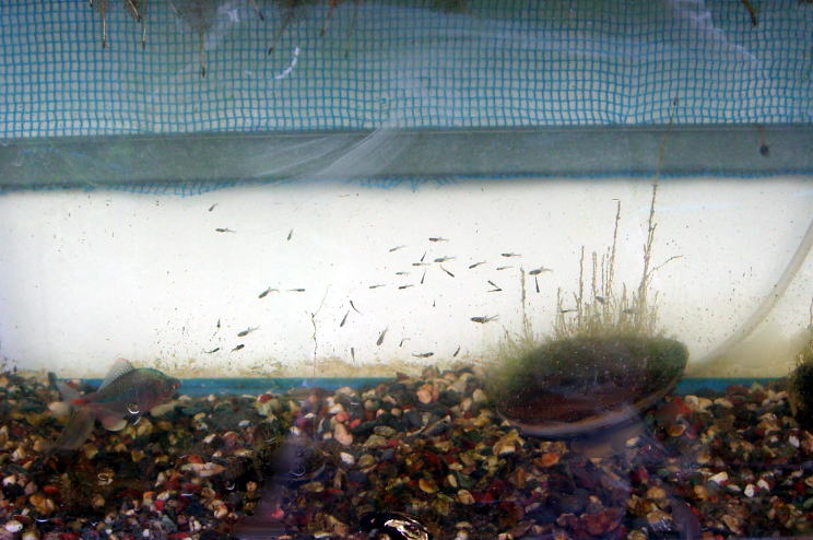 c0031856_2130407.jpg