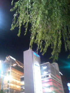 e0045856_22452255.jpg