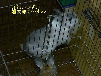 f0104057_1935757.jpg