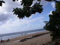 a0048361_326183.jpg