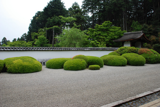 e0113562_164252.jpg