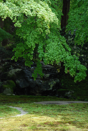 e0113562_222729.jpg