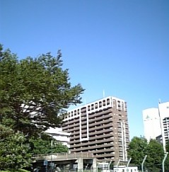f0014371_1330821.jpg