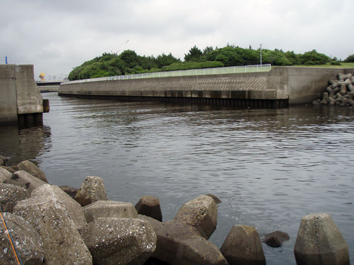 c0080180_3183948.jpg