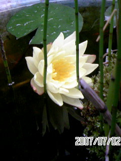 c0045283_7484438.jpg