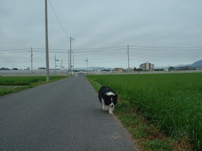 c0120585_222506.jpg