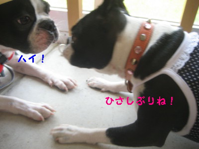 c0092787_1835861.jpg
