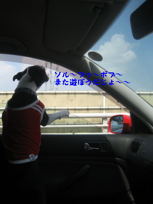 c0092787_18453735.jpg