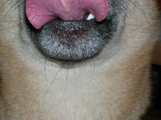 c0123890_21153321.jpg