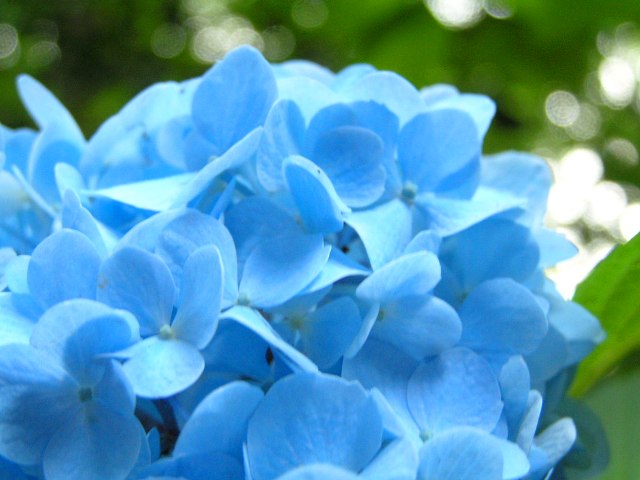 c0034595_11161953.jpg