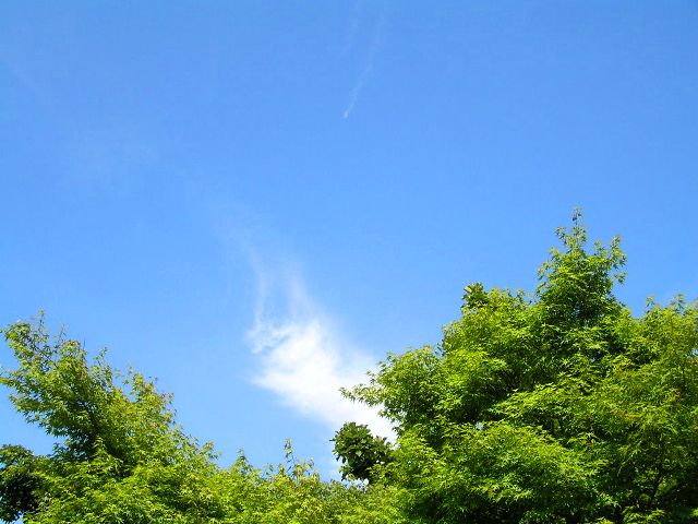 c0034595_11214717.jpg