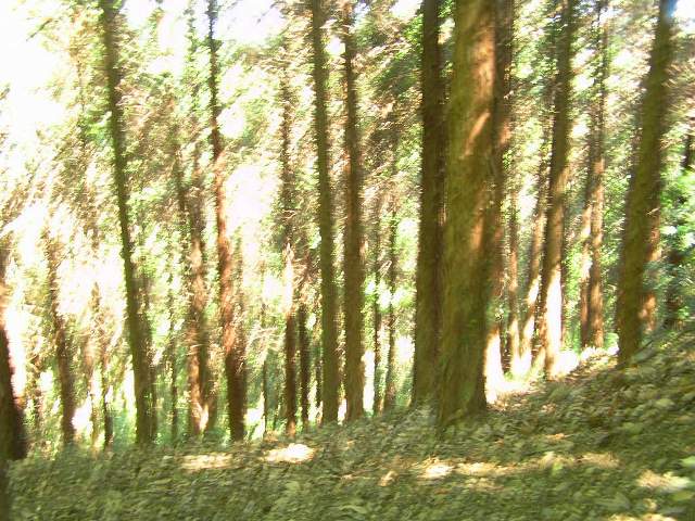c0034595_11234630.jpg